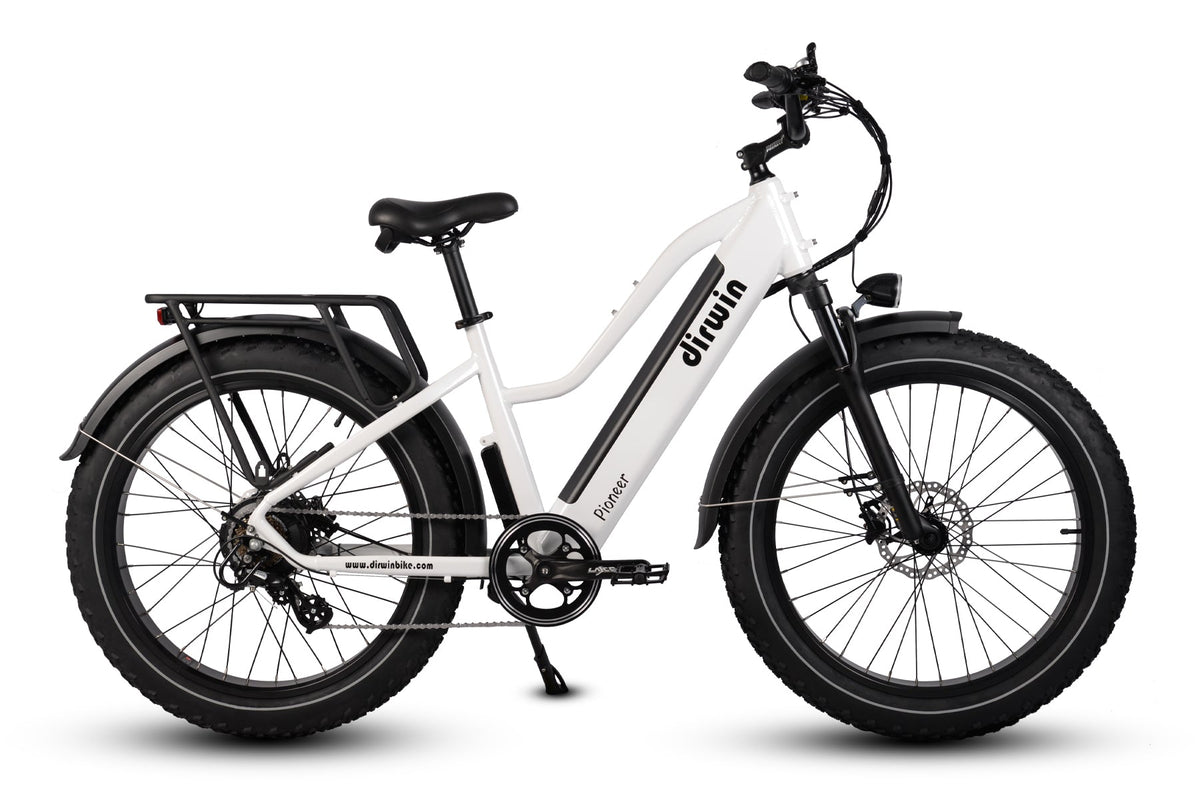 Pioneer Electric Bike