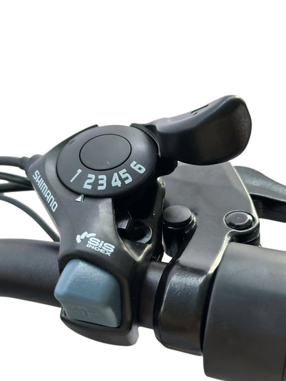 Pacer X Budget Commuter Electric Bike