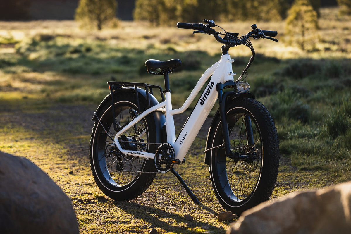 Pioneer Electric Bike