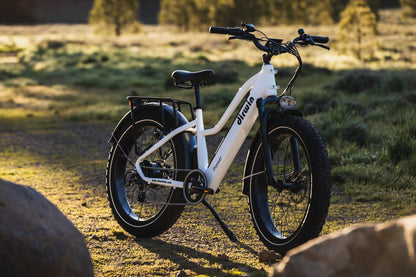 Pioneer Electric Bike