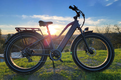 Pioneer Electric Bike