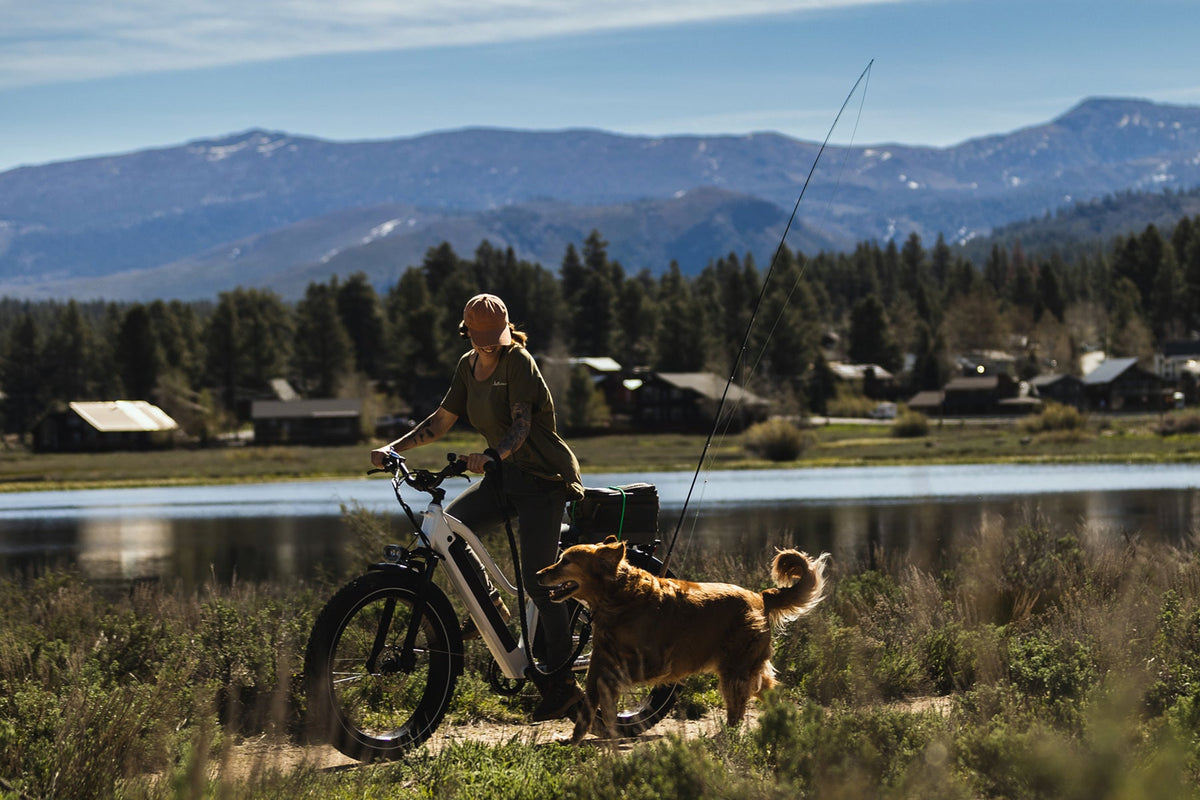 Pioneer Electric Bike