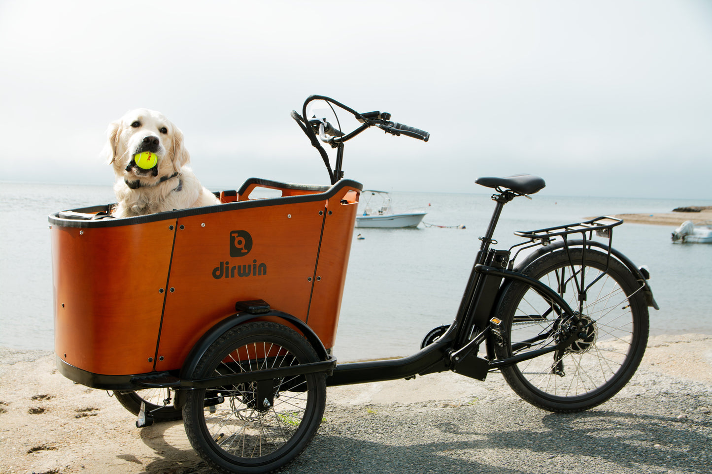 Caravan Electric Cargo Bike - Family & Kid-Friendly
