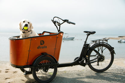 Caravan Electric Cargo Bike - Family & Kid-Friendly