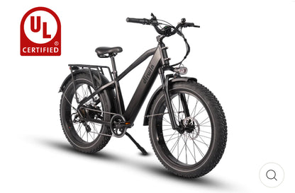 Bicicleta eléctrica Dirwin Pioneer Fat Tire