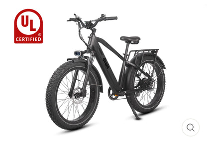 Bicicleta eléctrica Dirwin Pioneer Fat Tire