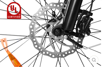 Bicicleta eléctrica Dirwin Pioneer Fat Tire