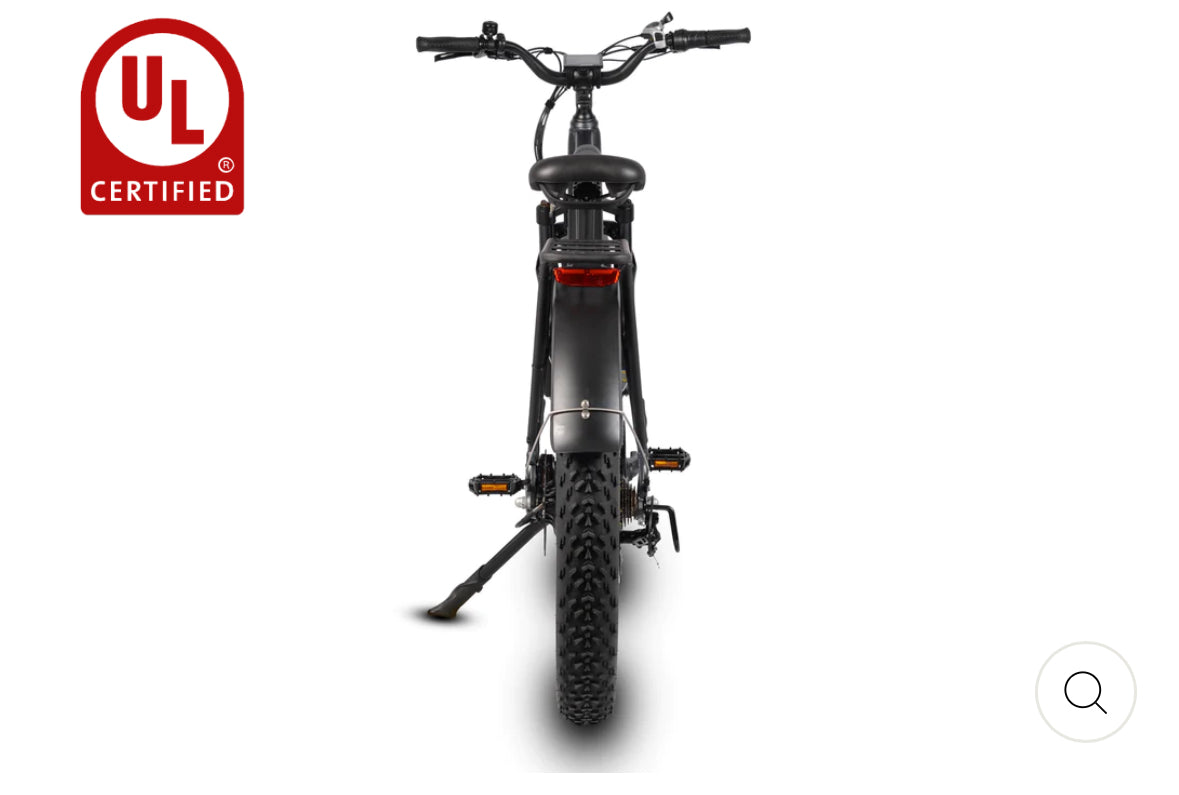 Bicicleta eléctrica Dirwin Pioneer Fat Tire