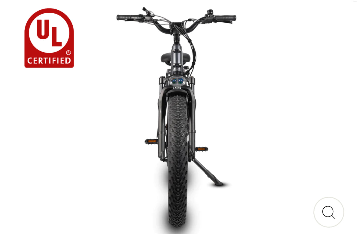 Bicicleta eléctrica Dirwin Pioneer Fat Tire