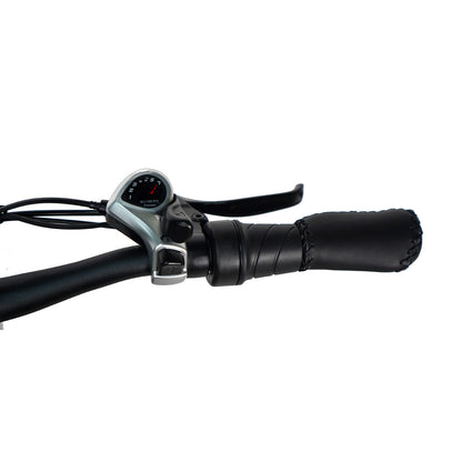 Pacer Lite Electric Bike