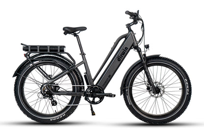 Pioneer Plus Dual Battery Electric Bike