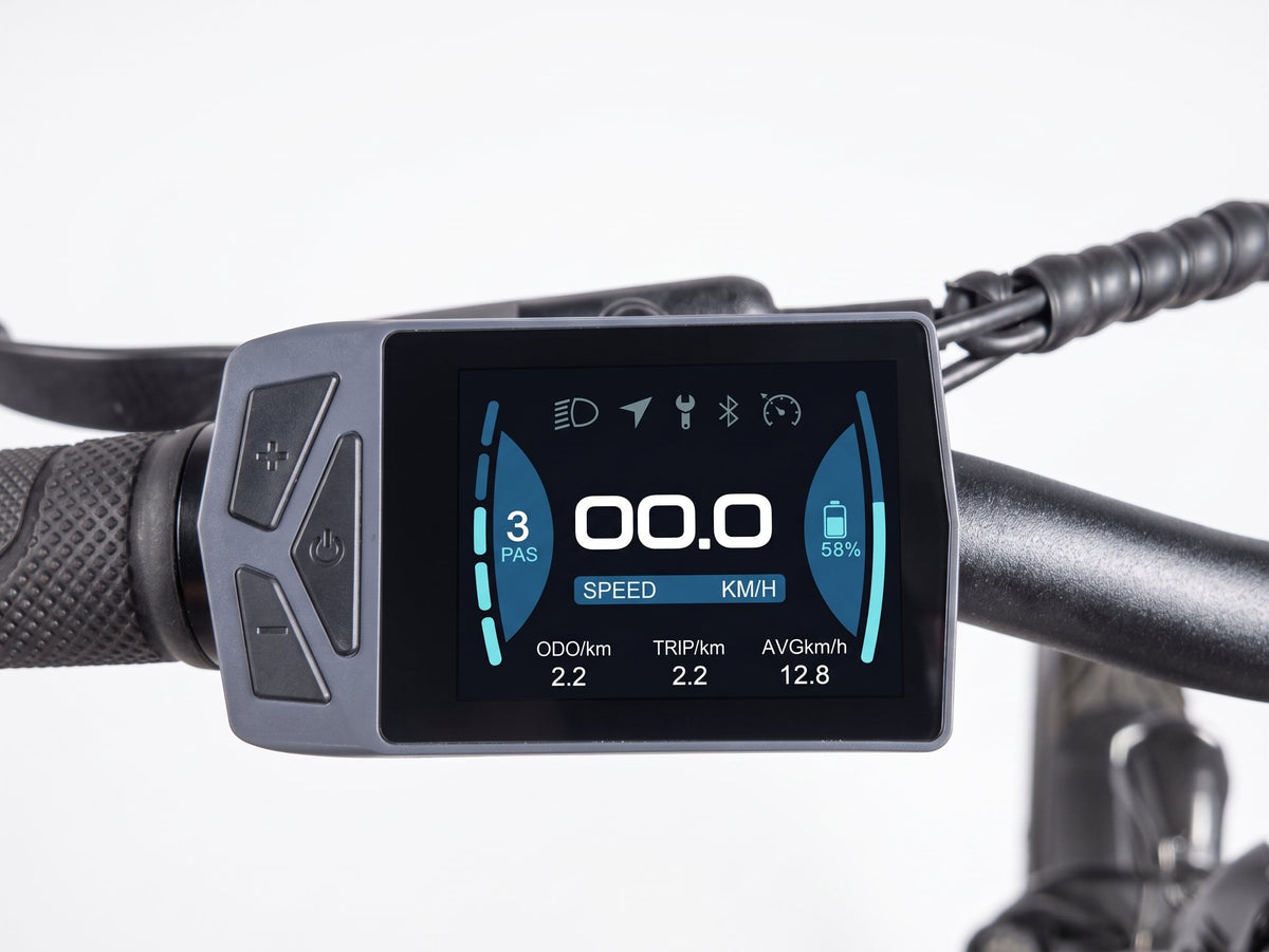 Pioneer Electric Bike
