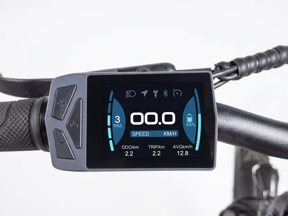 Pioneer Electric Bike