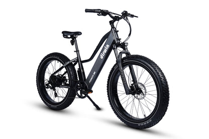 Pioneer Lite Electric Bike