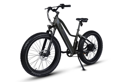 Pioneer Lite Electric Bike