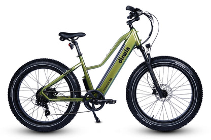 Pioneer Lite Electric Bike