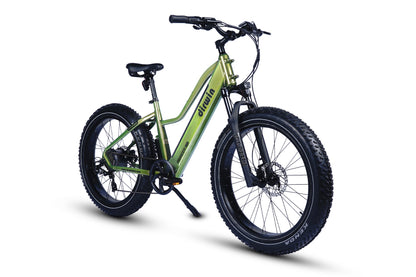 Pioneer Lite Electric Bike