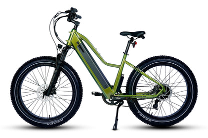 Pioneer Lite Electric Bike