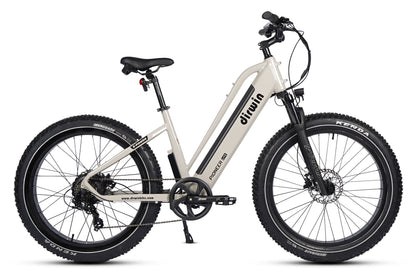 Pioneer Lite Electric Bike