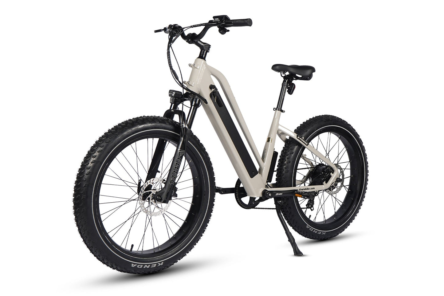 Pioneer Lite Electric Bike