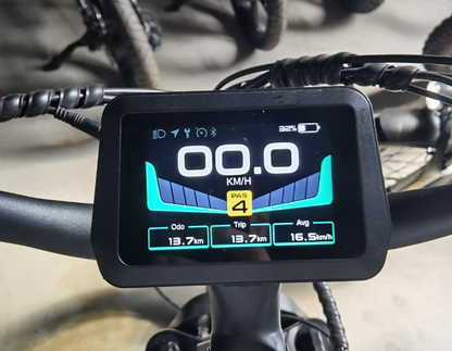 Pioneer Plus Dual Battery Electric Bike