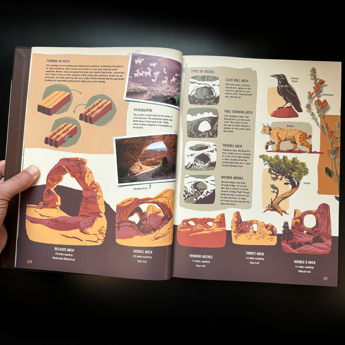 Wilderness & Wonder: An Illustrated Guide to the National Parks SOFTCOVER Book
