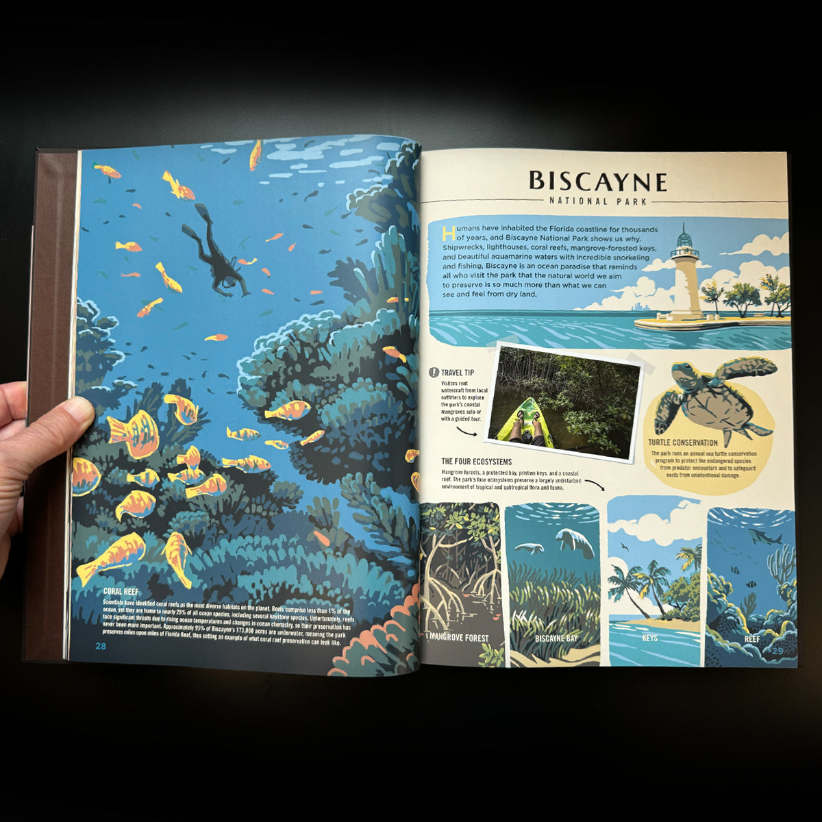 Wilderness & Wonder: An Illustrated Guide to the National Parks SOFTCOVER Book