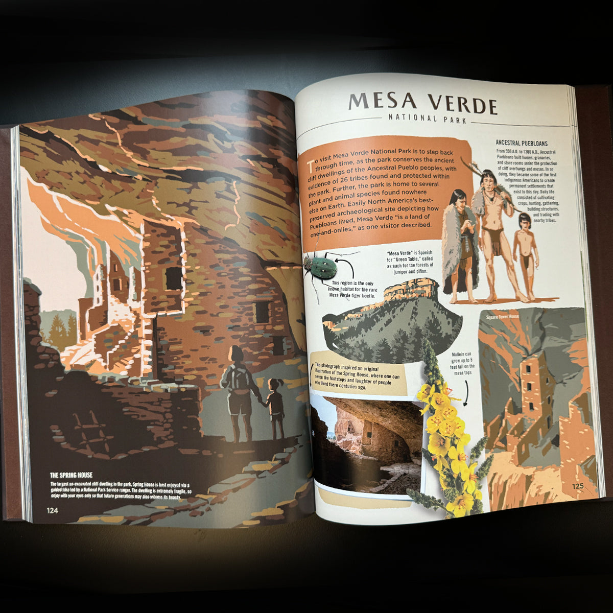 Wilderness & Wonder: An Illustrated Guide to the National Parks SOFTCOVER Book