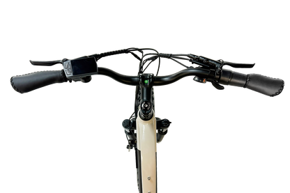 Pioneer Lite Electric Bike