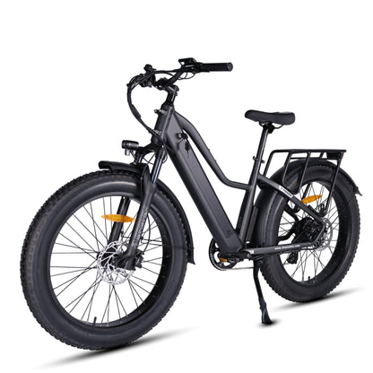 Pioneer Electric Bike