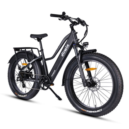 Pioneer Electric Bike