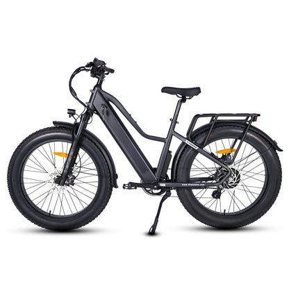 Pioneer Electric Bike