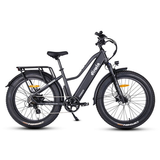 Pioneer Electric Bike
