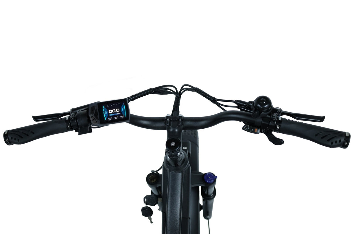 Pioneer Electric Bike