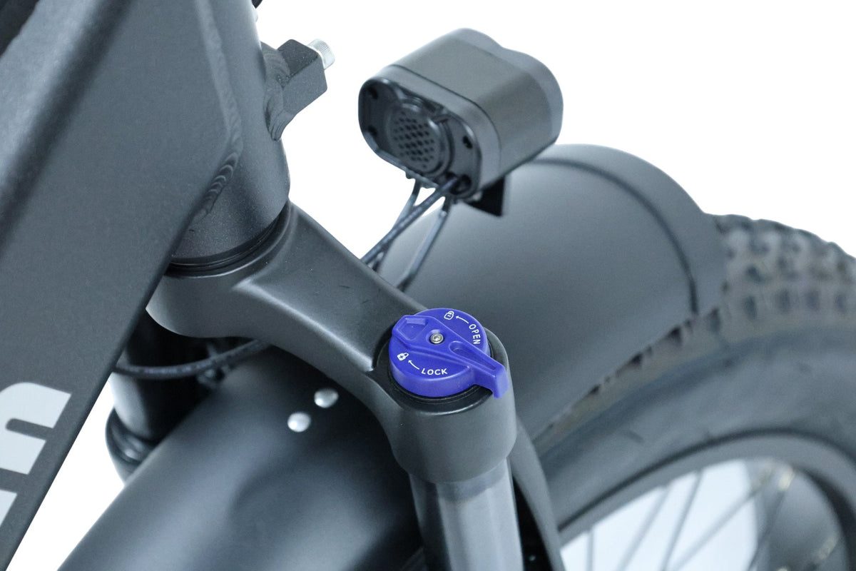 Pioneer Electric Bike