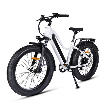 Pioneer Electric Bike