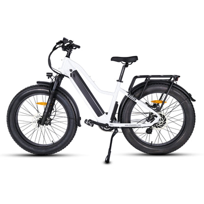 Pioneer Electric Bike