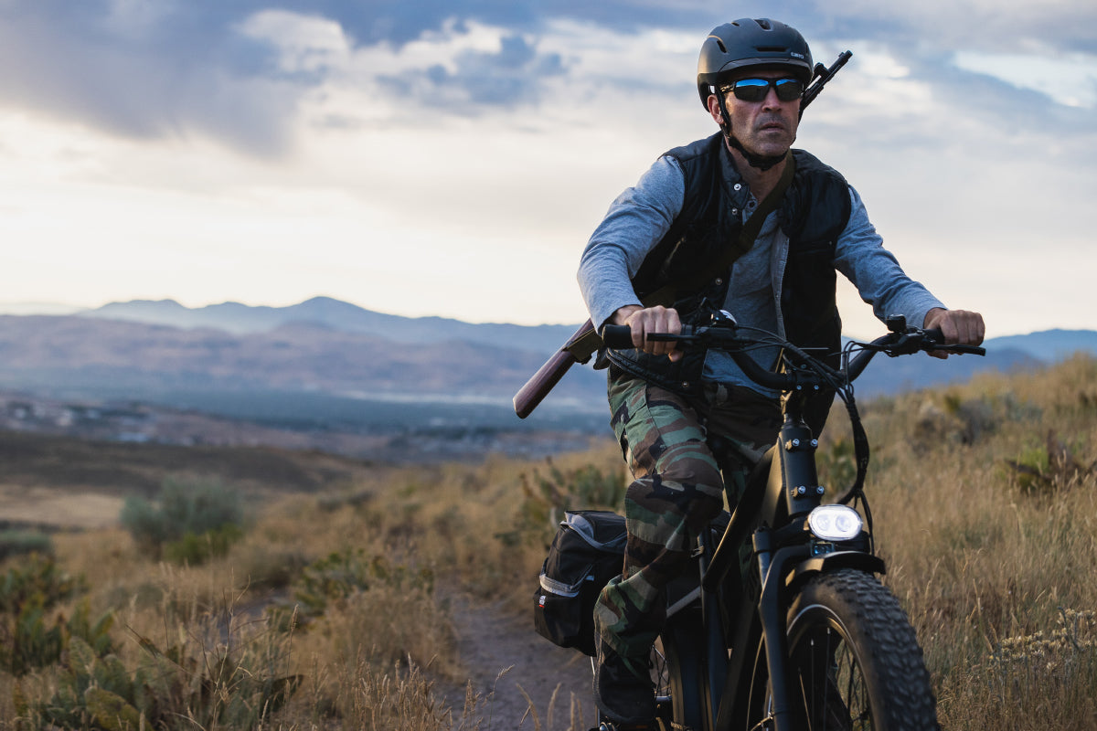 Pioneer Electric Bike