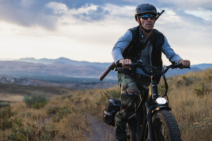 Pioneer Electric Bike