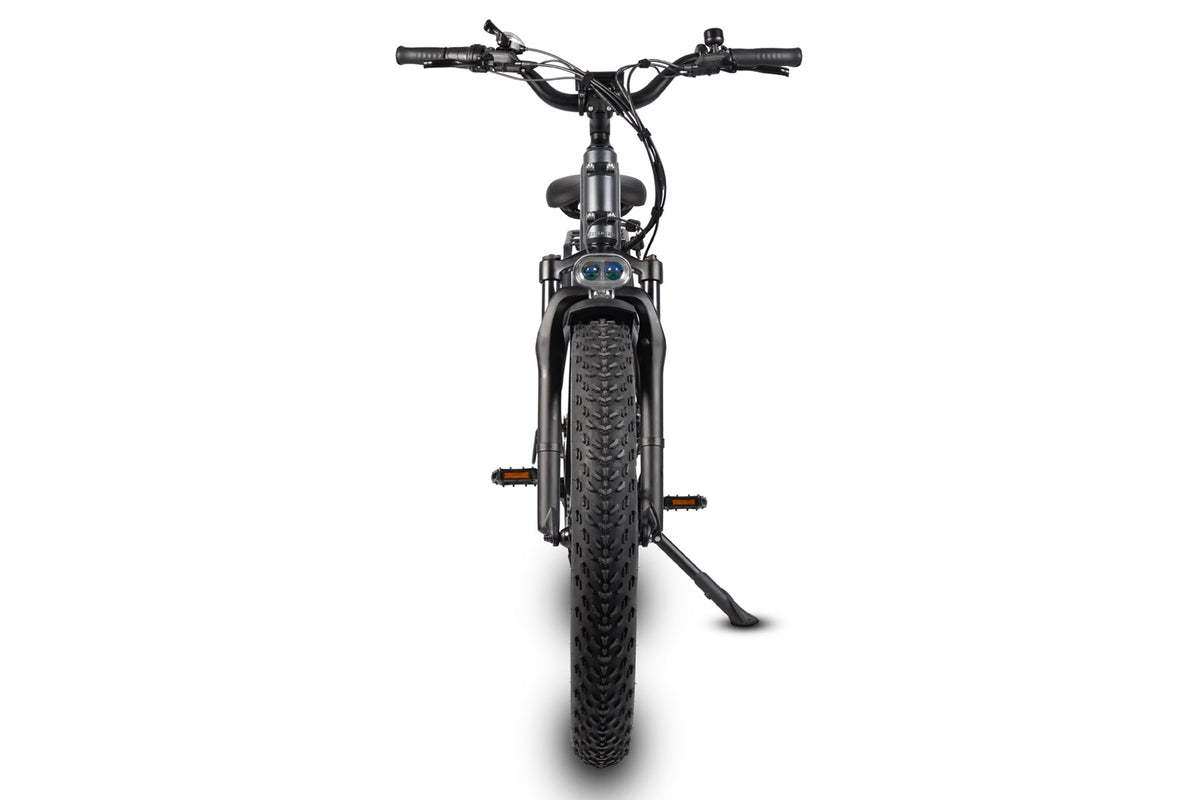 Pioneer Electric Bike