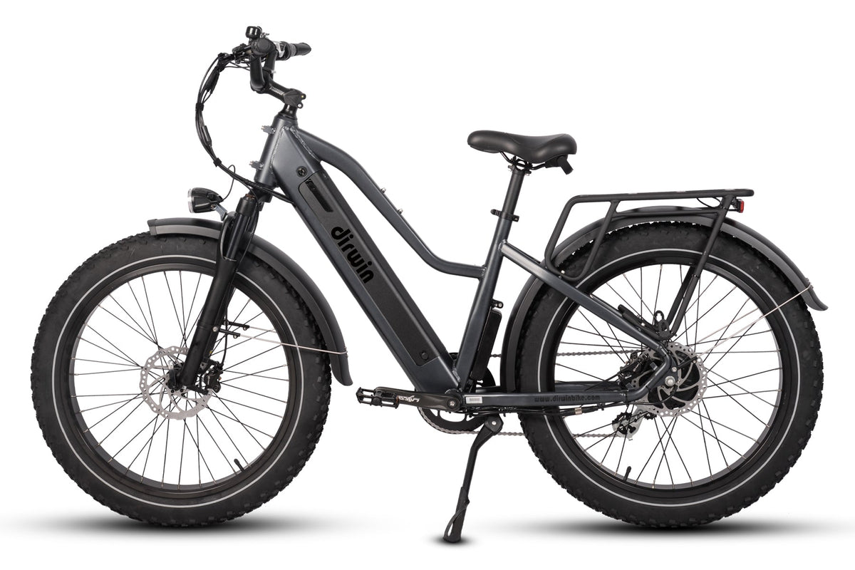 Pioneer Electric Bike