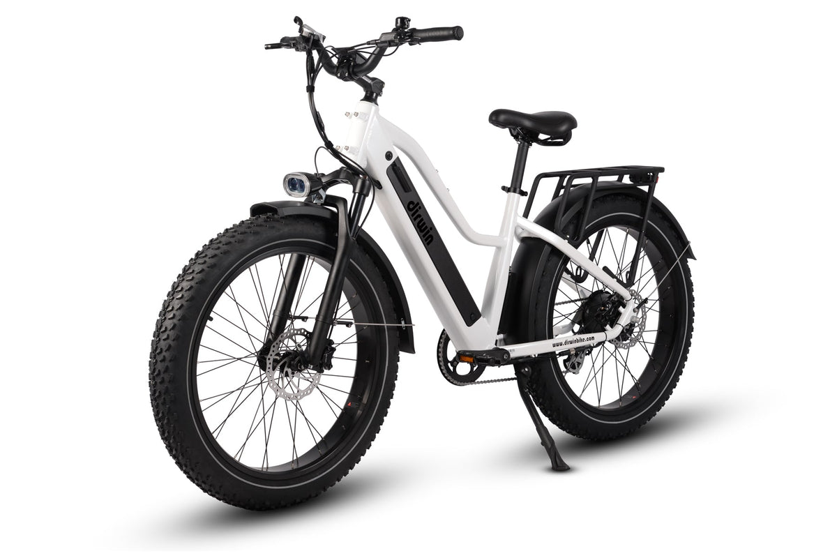 Pioneer Electric Bike