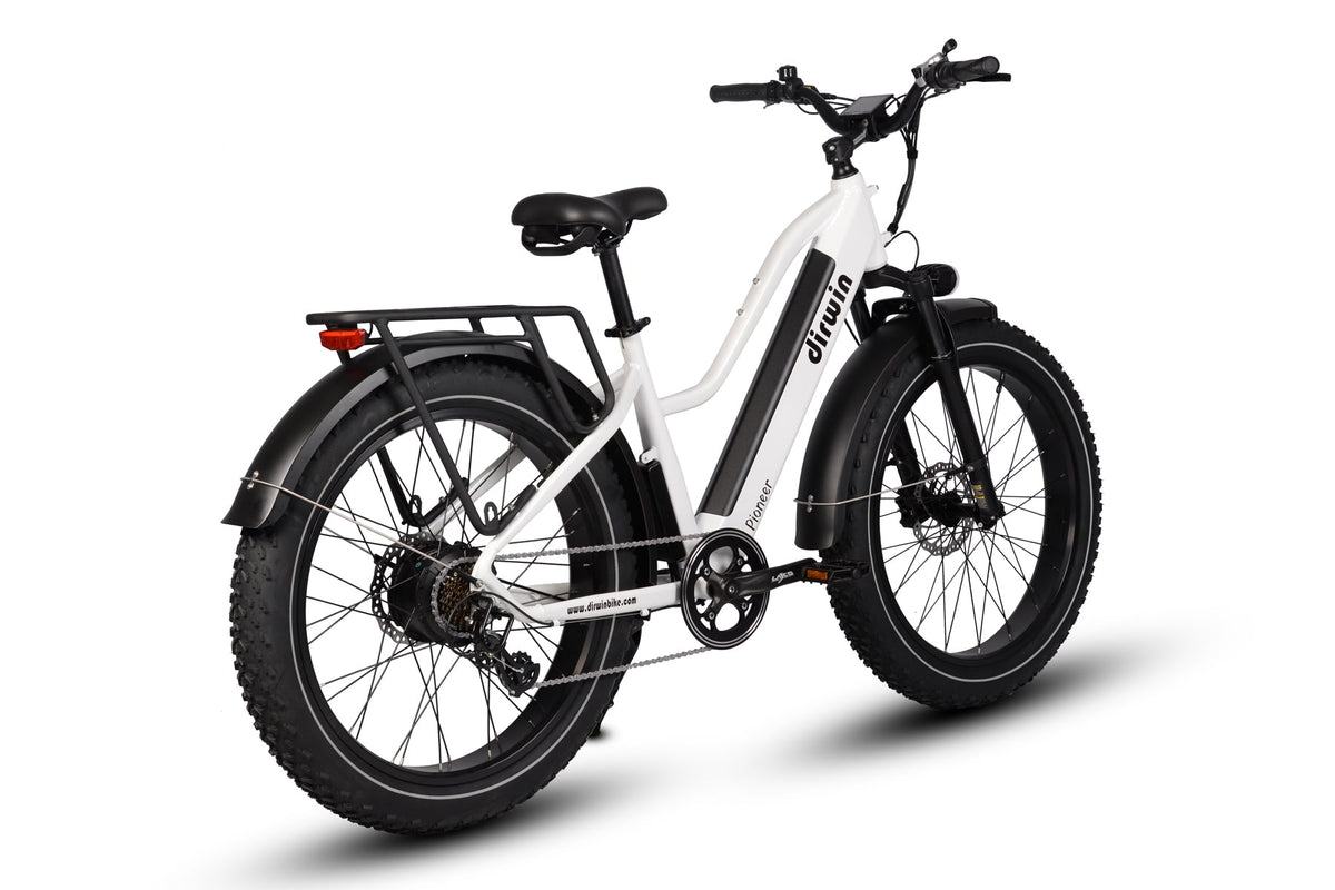 Pioneer Electric Bike