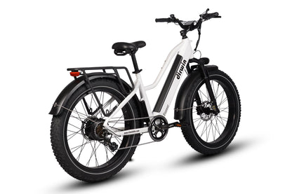 Pioneer Electric Bike