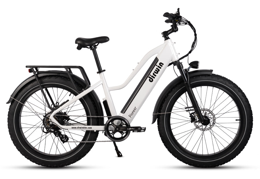 Pioneer Electric Bike