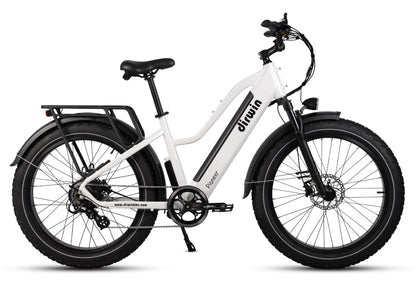 Pioneer Electric Bike