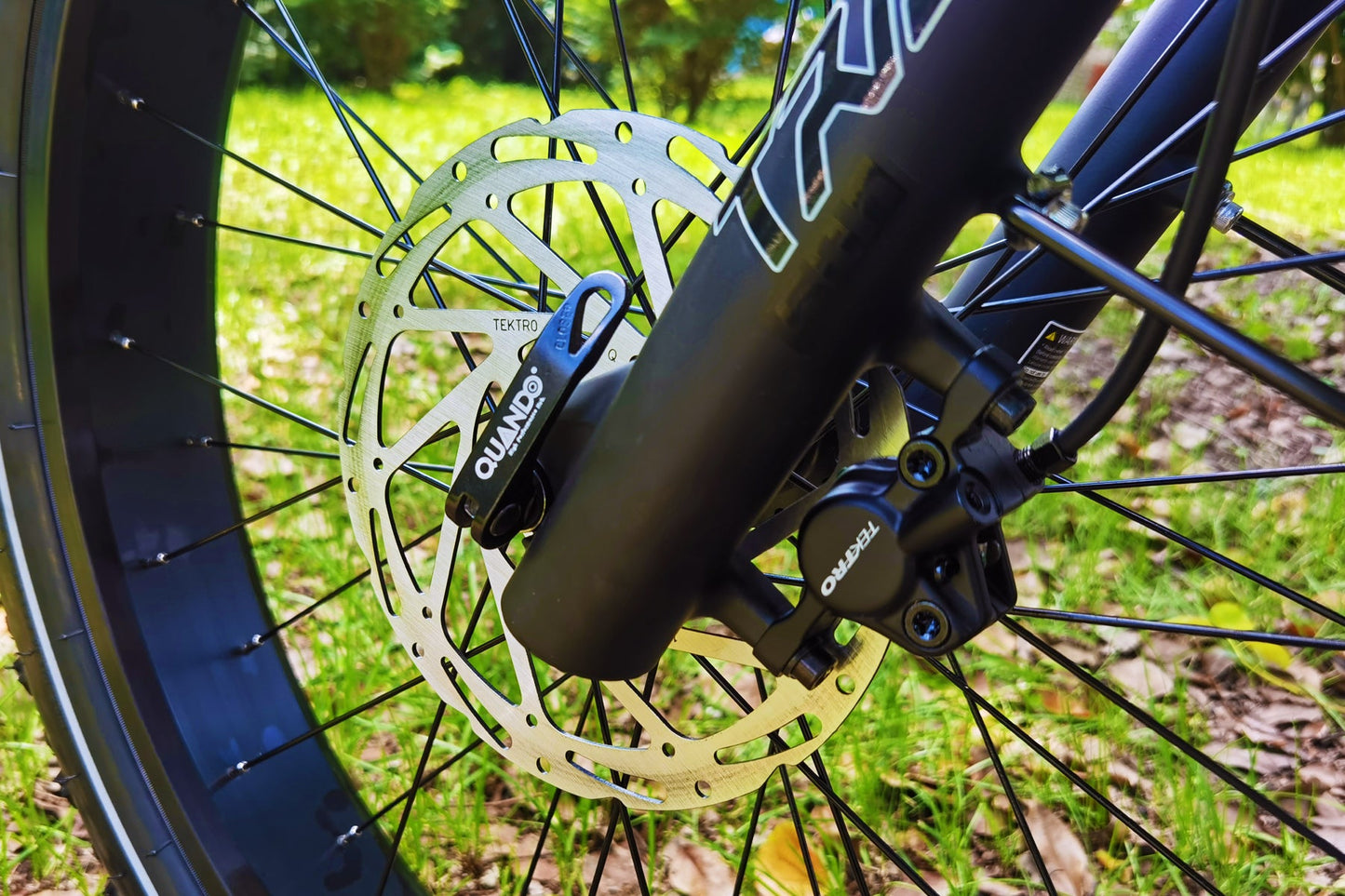 Pioneer Plus Dual Battery Electric Bike