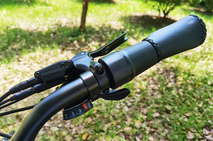Pioneer Plus Dual Battery Electric Bike